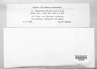 Diaporthe fibrosa image